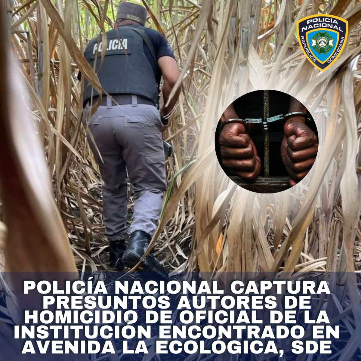 Agentes policiales, adscritos a la Dirección Central de Investigación (DICRIM), lograron capturar en menos de 48 horas a dos hombres señalados como los presuntos homicidas de un primer teniente de la institución del orden, cuyo cadáver fue encontrado en la avenida La Ecológica, del sector Ciudad Juan Bosch, en el municipio Santo Domingo Este. Se trata de los nacionales haitianos Adrixon Dpestre Sene (a) Anderson, de 43 años, residente en el sector de Piedra Blanca, en los Bajos de Haina, provincia San Cristóbal, y Tomy Tulisse Desarmes, de 42, residente en Boca Chica. Ambos hombres fueron apresados mediante la orden judicial de arresto No. 973-2023-EMES-06223, por la muerte del primer teniente José Joaquín Encarnación Montero, de 42, como consecuencia de herida de bala en la cabeza. El cadáver fue encontrado atado de pies y manos en un solar baldío de la referida zona. De acuerdo con el informe preliminar, a primeras horas de la mañana del martes 29 de agosto, un oficial subalterno policial de servicio en el Destacamento Ciudad Juan Bosch, recibió la alerta por parte de un transeúnte de que frente a un acueducto había una persona tirada, por lo que rápidamente se dirigió al lugar a verificar y efectivamente se trataba de su similar en el rango, Encarnación Montero. Luego de dar parte a sus superiores y solicitar refuerzos, se le comunicó la noticia a la concubina del malogrado oficial, quien declaró que su pareja había salido con destino hacia la avenida Ecológica el lunes 28 de agosto, pero que no supo más de él hasta el momento que le comunicaron sobre el hallazgo de su cuerpo en las condiciones antes descritas. En el proceso investigativo se ha podido establecer que los detenidos tenían vínculos de negocios, aun en proceso de verificación, con el hoy occiso. A los detenidos le fueron ocupados dos celulares. En la actualidad, los investigadores, en coordinación con el Ministerio Público, profundizan las pesquisas para establecer el móvil del crimen. Los investigadores levantaron en el lugar del hecho un casquillo calibre 9mm, la pistola marca Taurus, calibre 9mm, No. TYC65996, con una cápsula percatada en la recámara, con su cargador, así como su celular. Oportunamente se ofrecerán mayores detalles del caso, conforme avance el proceso de investigación.